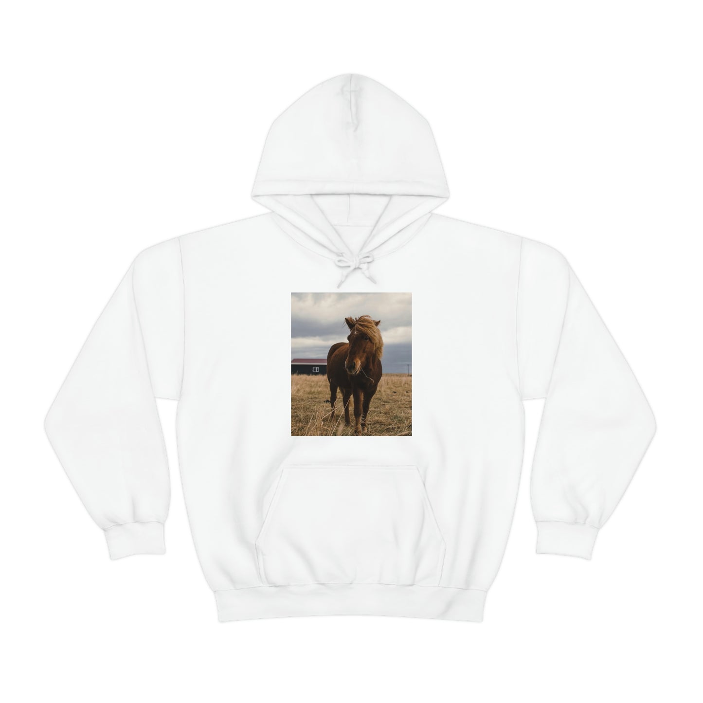 Icelandic Horse, Zara Neifield Photography - Unisex Heavy Blend™ Hooded Sweatshirt