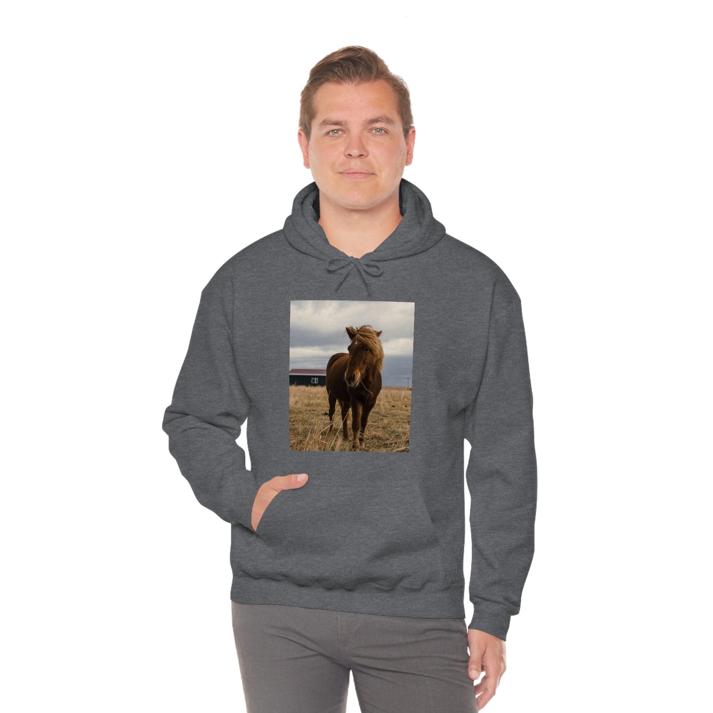 Icelandic Horse, Zara Neifield Photography - Unisex Heavy Blend™ Hooded Sweatshirt