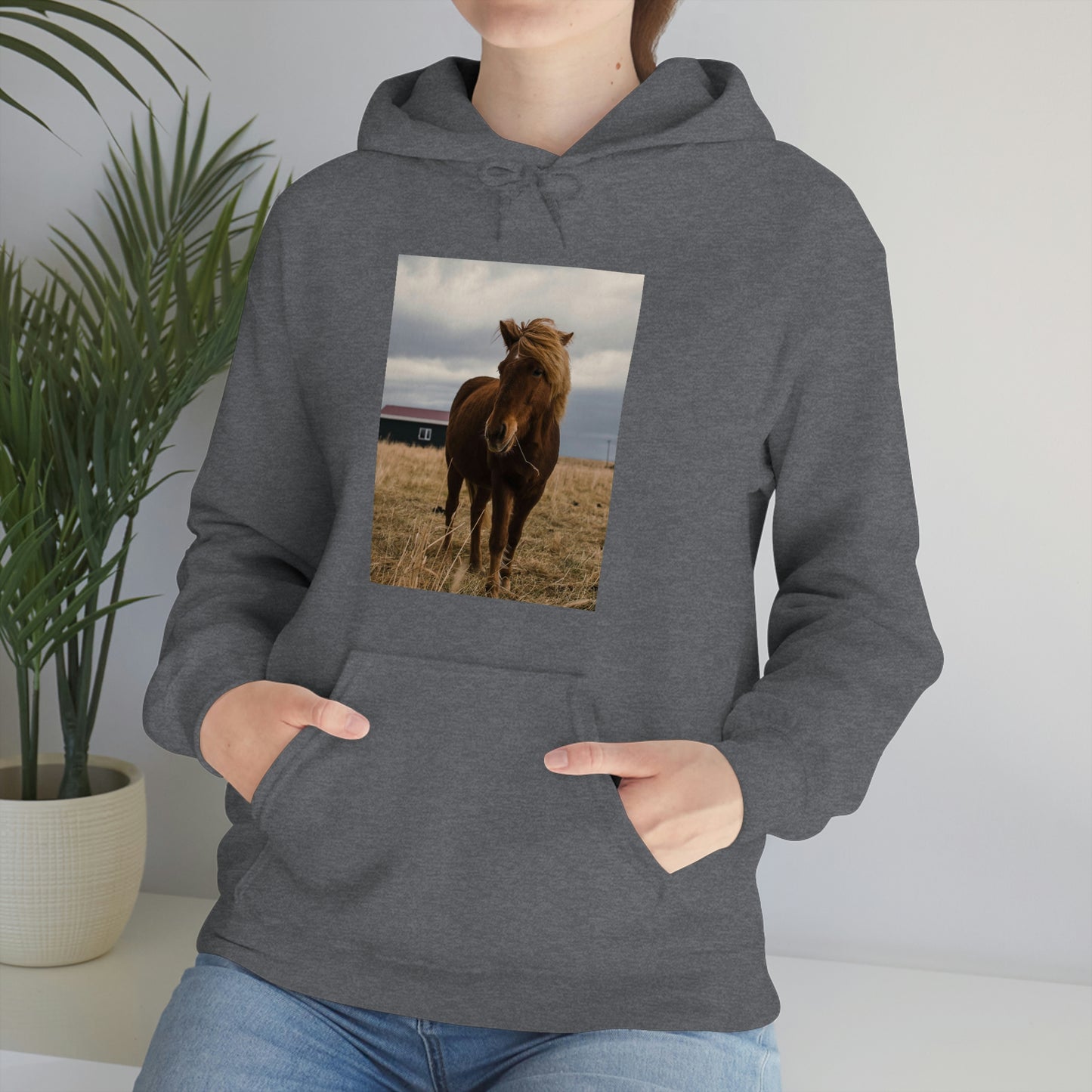 Icelandic Horse, Zara Neifield Photography - Unisex Heavy Blend™ Hooded Sweatshirt