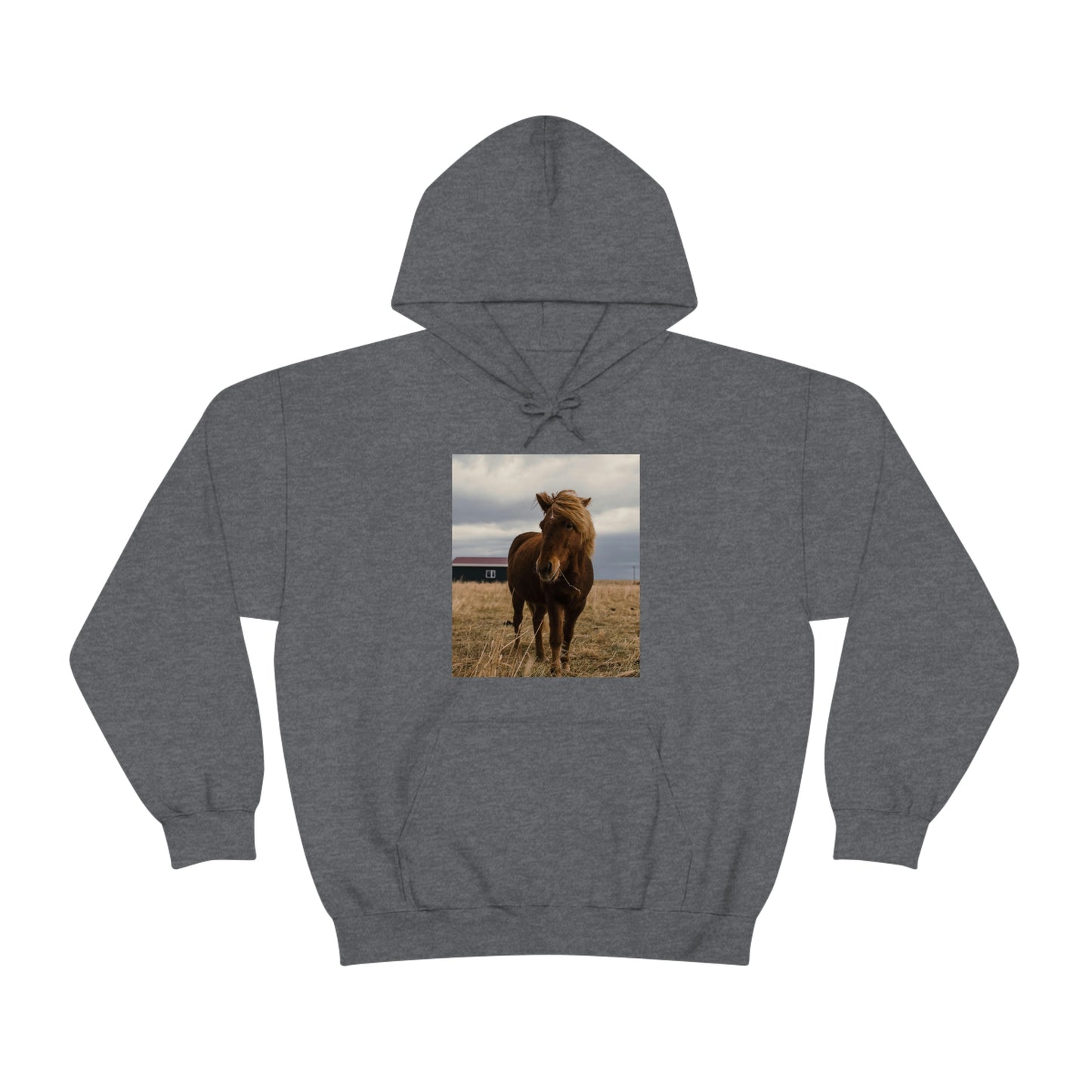 Icelandic Horse, Zara Neifield Photography - Unisex Heavy Blend™ Hooded Sweatshirt