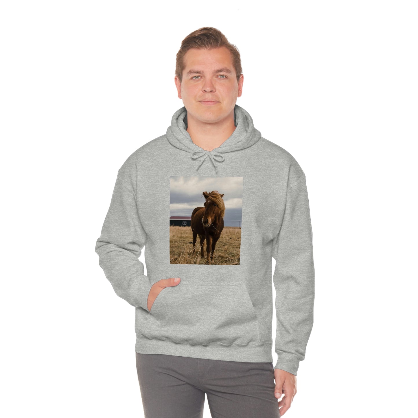 Icelandic Horse, Zara Neifield Photography - Unisex Heavy Blend™ Hooded Sweatshirt