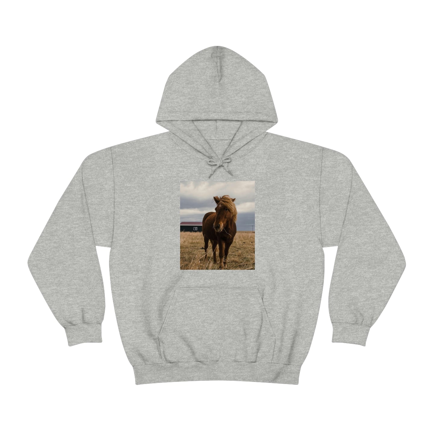 Icelandic Horse, Zara Neifield Photography - Unisex Heavy Blend™ Hooded Sweatshirt