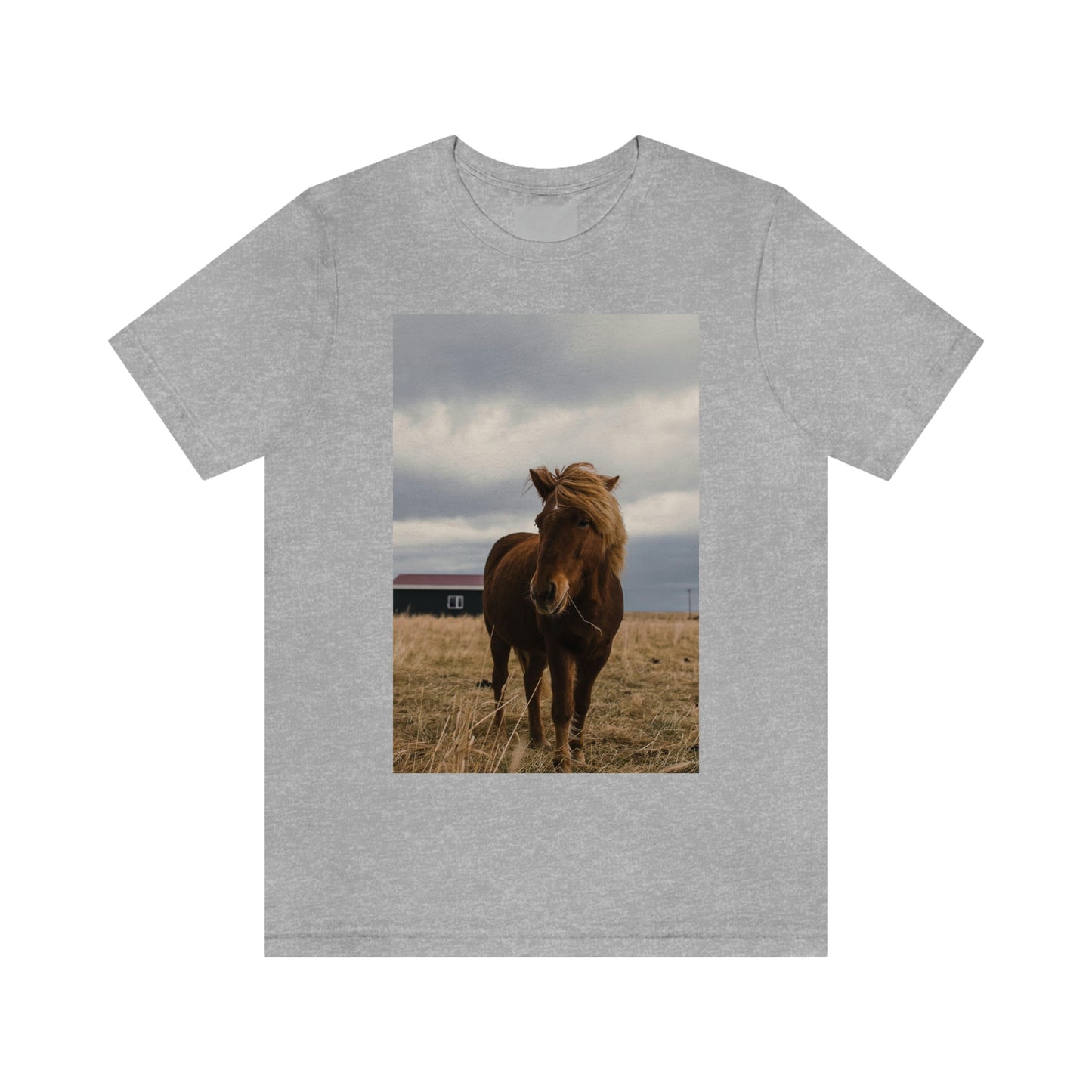 Icelandic Horse, Zara Neifield Photography - Unisex Jersey Short Sleeve Tee