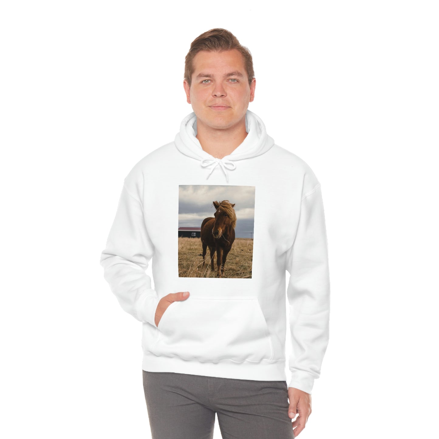 Icelandic Horse, Zara Neifield Photography - Unisex Heavy Blend™ Hooded Sweatshirt