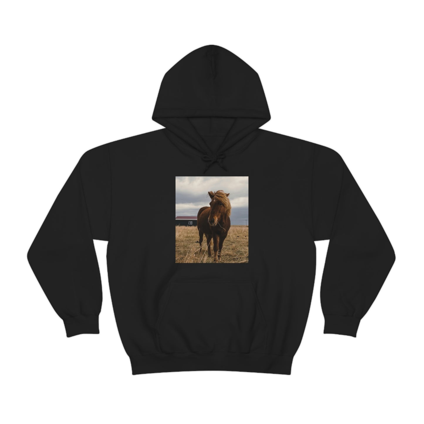 Icelandic Horse, Zara Neifield Photography - Unisex Heavy Blend™ Hooded Sweatshirt